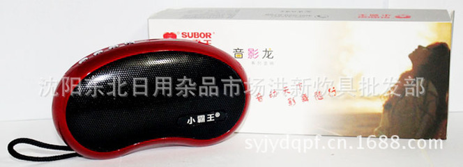 小霸王PL-310 一款集多功能于一身的迷你影音伴侶